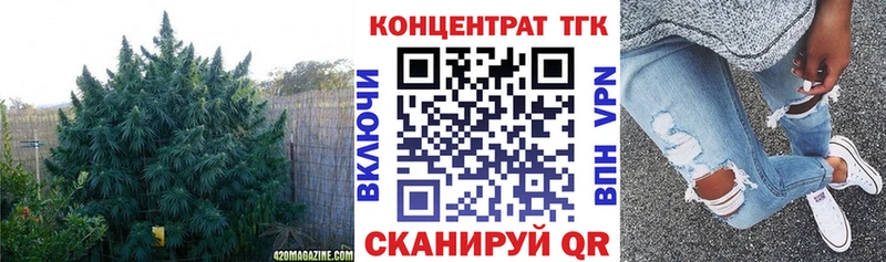 Купить закладки Богородск ТГК концентрат
