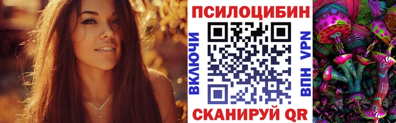 Галлюциногенные грибы GOLDEN TEACHER  Купить где  Богородск 